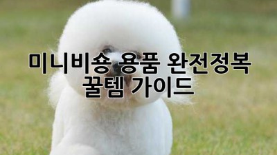 🐶 미니비숑 용품 완전정복! 꿀템 가이드 🍯